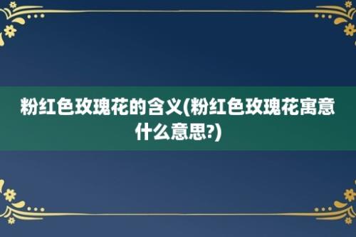 粉红色玫瑰花的含义(粉红色玫瑰花寓意什么意思?)