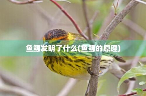 鱼鳔发明了什么(鱼鳔的原理)