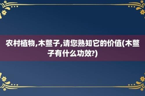 农村植物,木鳖子,请您熟知它的价值(木鳖子有什么功效?)