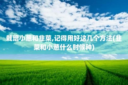 栽培小葱和韭菜,记得用好这几个方法(韭菜和小葱什么时候种)