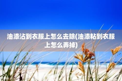 油漆沾到衣服上怎么去除(油漆粘到衣服上怎么弄掉)