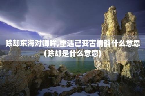 除却东海对卿眸,重遇已变古情韵什么意思(除却是什么意思)