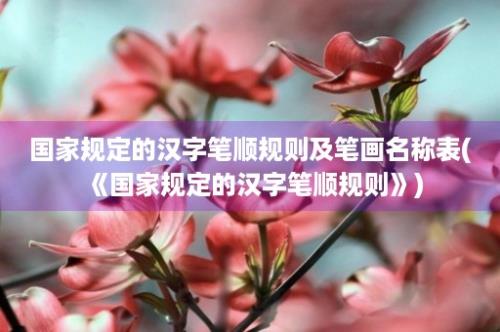 国家规定的汉字笔顺规则及笔画名称表(《国家规定的汉字笔顺规则》)