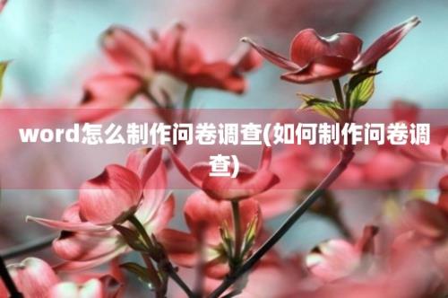 word怎么制作问卷调查(如何制作问卷调查)