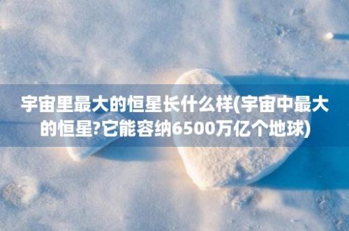 宇宙里最大的恒星长什么样(宇宙中最大的恒星?它能容纳6500万亿个地球)