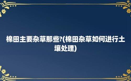 棉田主要杂草那些?(棉田杂草如何进行土壤处理)