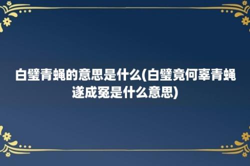 白璧青蝇的意思是什么(白璧竟何辜青蝇遂成冤是什么意思)