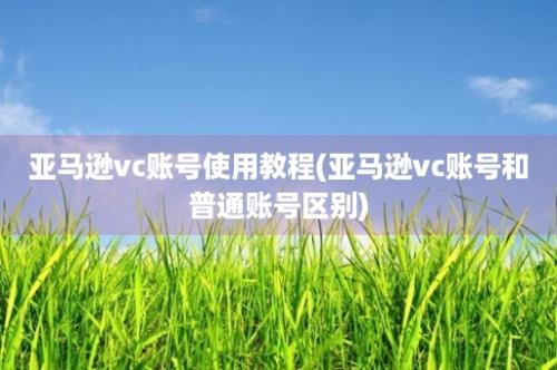 亚马逊vc账号使用教程(亚马逊vc账号和普通账号区别)