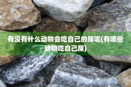 有没有什么动物会吃自己的屎呢(有哪些动物吃自己屎)