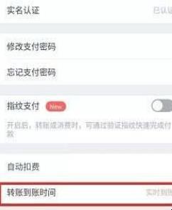 微信延时到账怎么设置