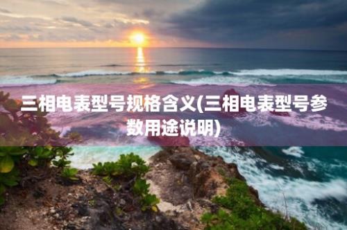 三相电表型号规格含义(三相电表型号参数用途说明)