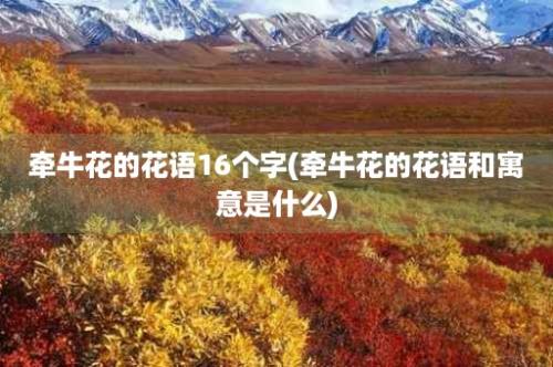 牵牛花的花语16个字(牵牛花的花语和寓意是什么)