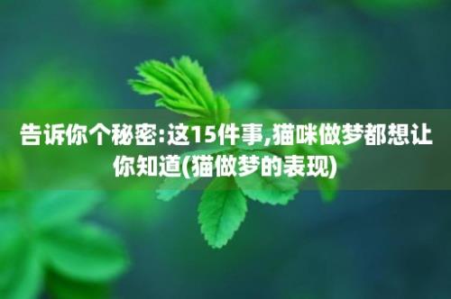 告诉你个秘密:这15件事,猫咪做梦都想让你知道(猫做梦的表现)