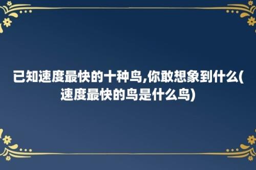 已知速度最快的十种鸟,你敢想象到什么(速度最快的鸟是什么鸟)