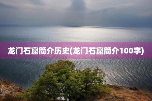 龙门石窟简介历史(龙门石窟简介100字)