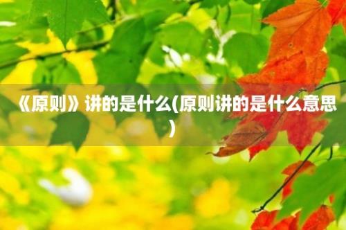 《原则》讲的是什么(原则讲的是什么意思)