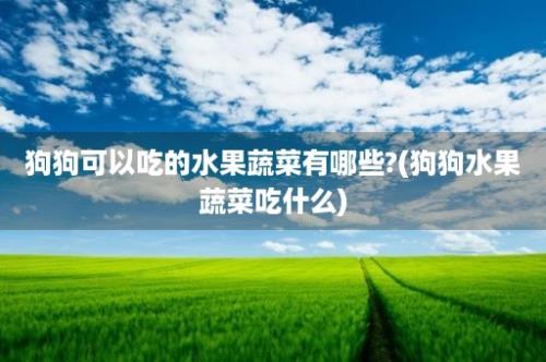 狗狗可以吃的水果蔬菜有哪些?(狗狗水果蔬菜吃什么)