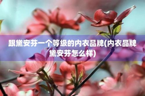 跟黛安芬一个等级的内衣品牌(内衣品牌黛安芬怎么样)