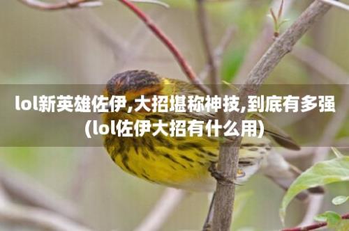 lol新英雄佐伊,大招堪称神技,到底有多强(lol佐伊大招有什么用)