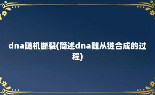 dna随机断裂(简述dna随从链合成的过程)