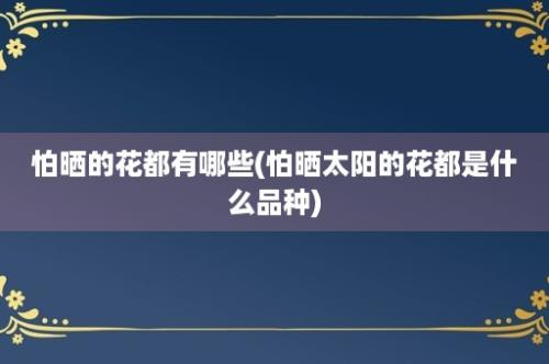 怕晒的花都有哪些(怕晒太阳的花都是什么品种)