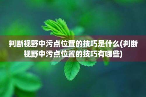 判断视野中污点位置的技巧是什么(判断视野中污点位置的技巧有哪些)