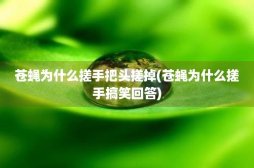 苍蝇为什么搓手把头搓掉(苍蝇为什么搓手搞笑回答)