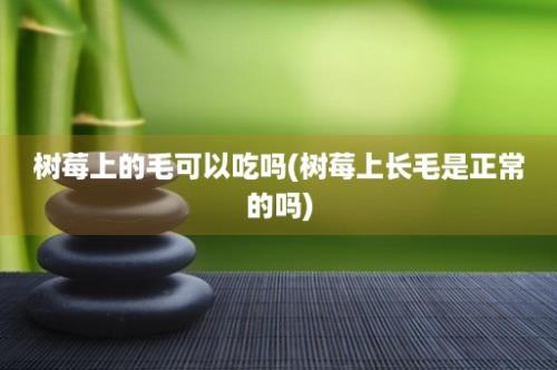 树莓上的毛可以吃吗(树莓上长毛是正常的吗)