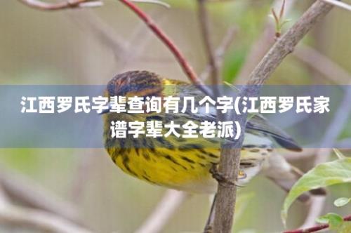 江西罗氏字辈查询有几个字(江西罗氏家谱字辈大全老派)