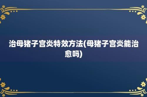 治母猪子宫炎特效方法(母猪子宫炎能治愈吗)