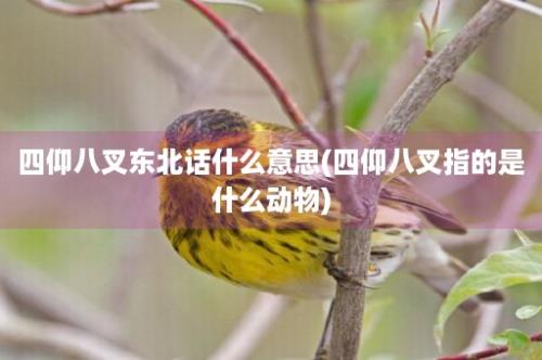 四仰八叉东北话什么意思(四仰八叉指的是什么动物)