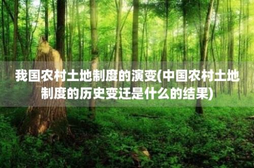 我国农村土地制度的演变(中国农村土地制度的历史变迁是什么的结果)