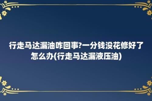 行走马达漏油咋回事?一分钱没花修好了怎么办(行走马达漏液压油)