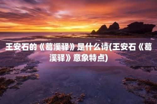 王安石的《葛溪驿》是什么诗(王安石《葛溪驿》意象特点)