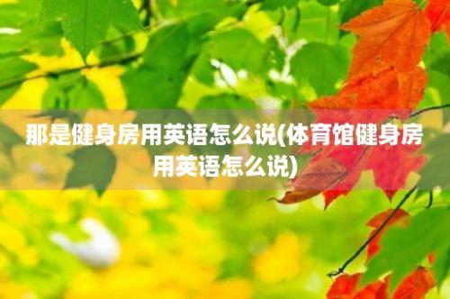 那是健身房用英语怎么说(体育馆健身房用英语怎么说)