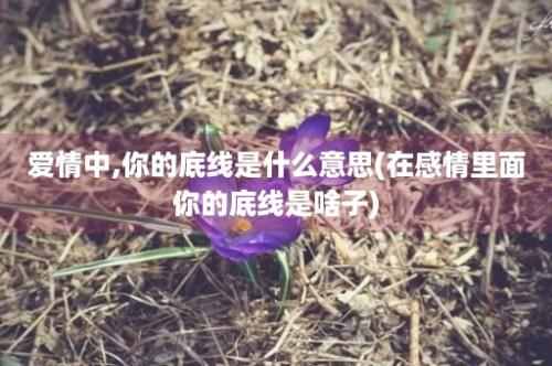 爱情中,你的底线是什么意思(在感情里面你的底线是啥子)