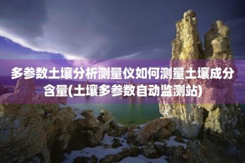 多参数土壤分析测量仪如何测量土壤成分含量(土壤多参数自动监测站)