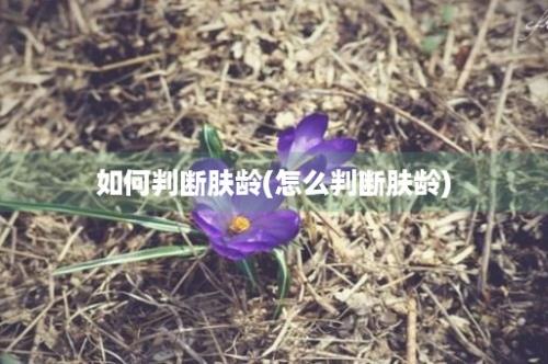 如何判断肤龄(怎么判断肤龄)