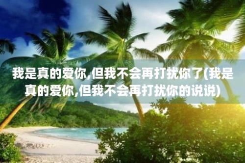 我是真的爱你,但我不会再打扰你了(我是真的爱你,但我不会再打扰你的说说)