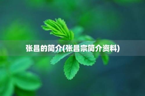 张昌的简介(张昌宗简介资料)