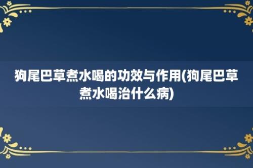 狗尾巴草煮水喝的功效与作用(狗尾巴草煮水喝治什么病)