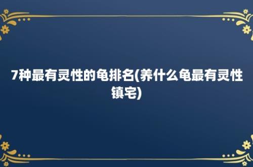 7种最有灵性的龟排名(养什么龟最有灵性镇宅)