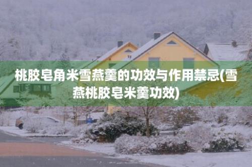 桃胶皂角米雪燕羹的功效与作用禁忌(雪燕桃胶皂米羹功效)