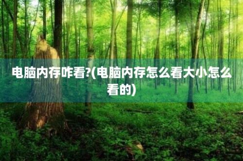 电脑内存咋看?(电脑内存怎么看大小怎么看的)