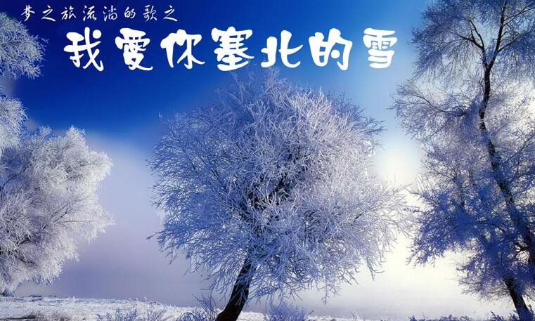 《我爱你塞北的雪》的歌词是什么