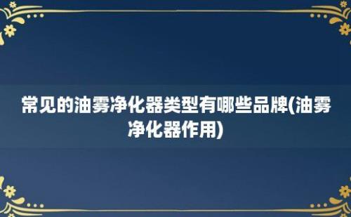 常见的油雾净化器类型有哪些品牌(油雾净化器作用)