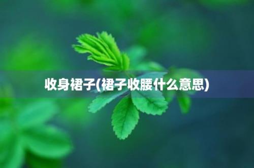 收身裙子(裙子收腰什么意思)