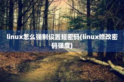 linux怎么强制设置短密码(linux修改密码强度)