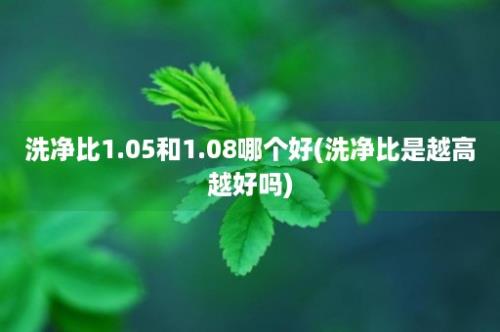 洗净比1.05和1.08哪个好(洗净比是越高越好吗)