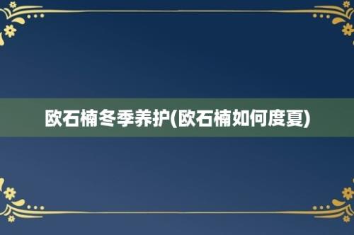 欧石楠冬季养护(欧石楠如何度夏)